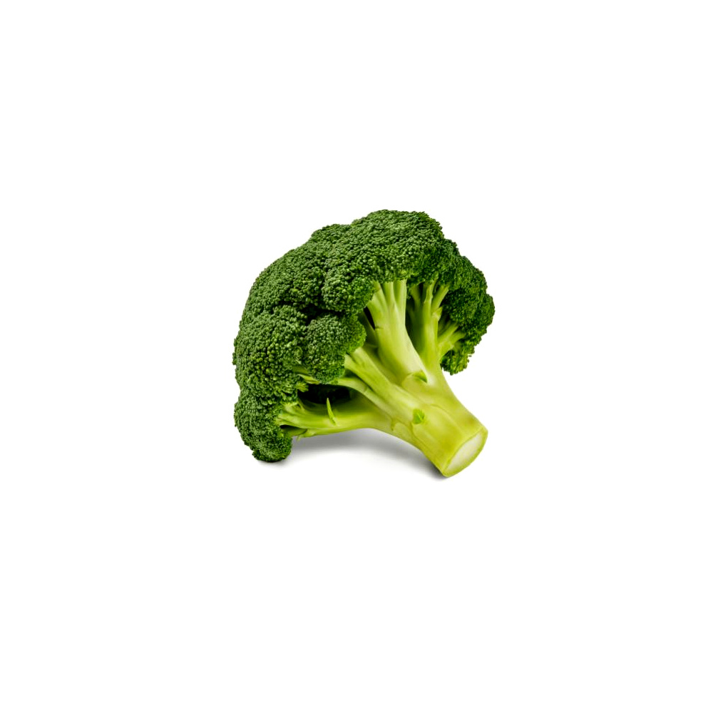 Fresh Broccoli