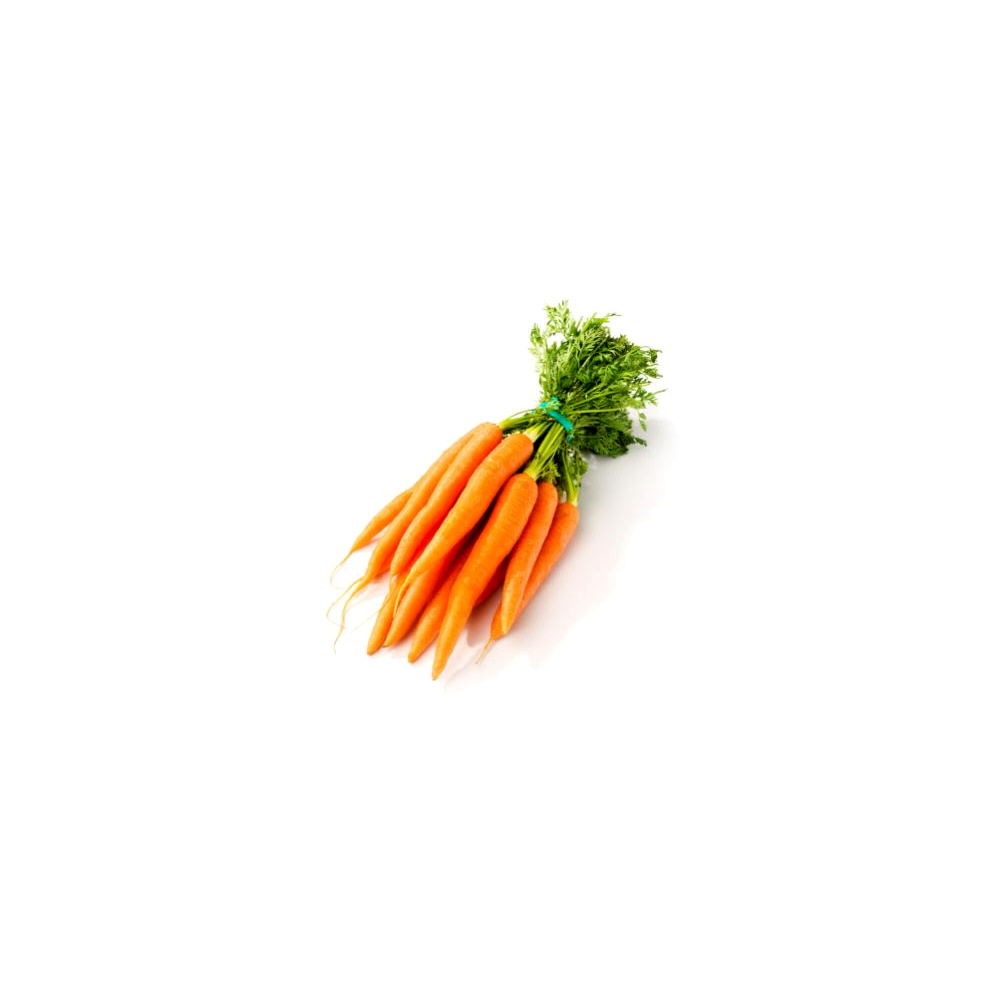 Fresh Carrots